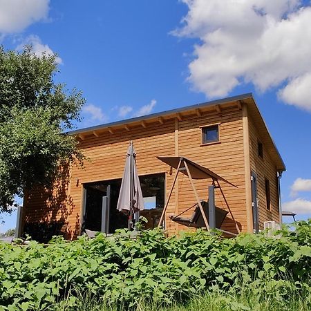 Großharthau Tinyhousebeidresden 3 Fuer 2 - 7 Personen, Naehe Saechsische Schweiz, Dresden, Mit Badeteichヴィラ エクステリア 写真