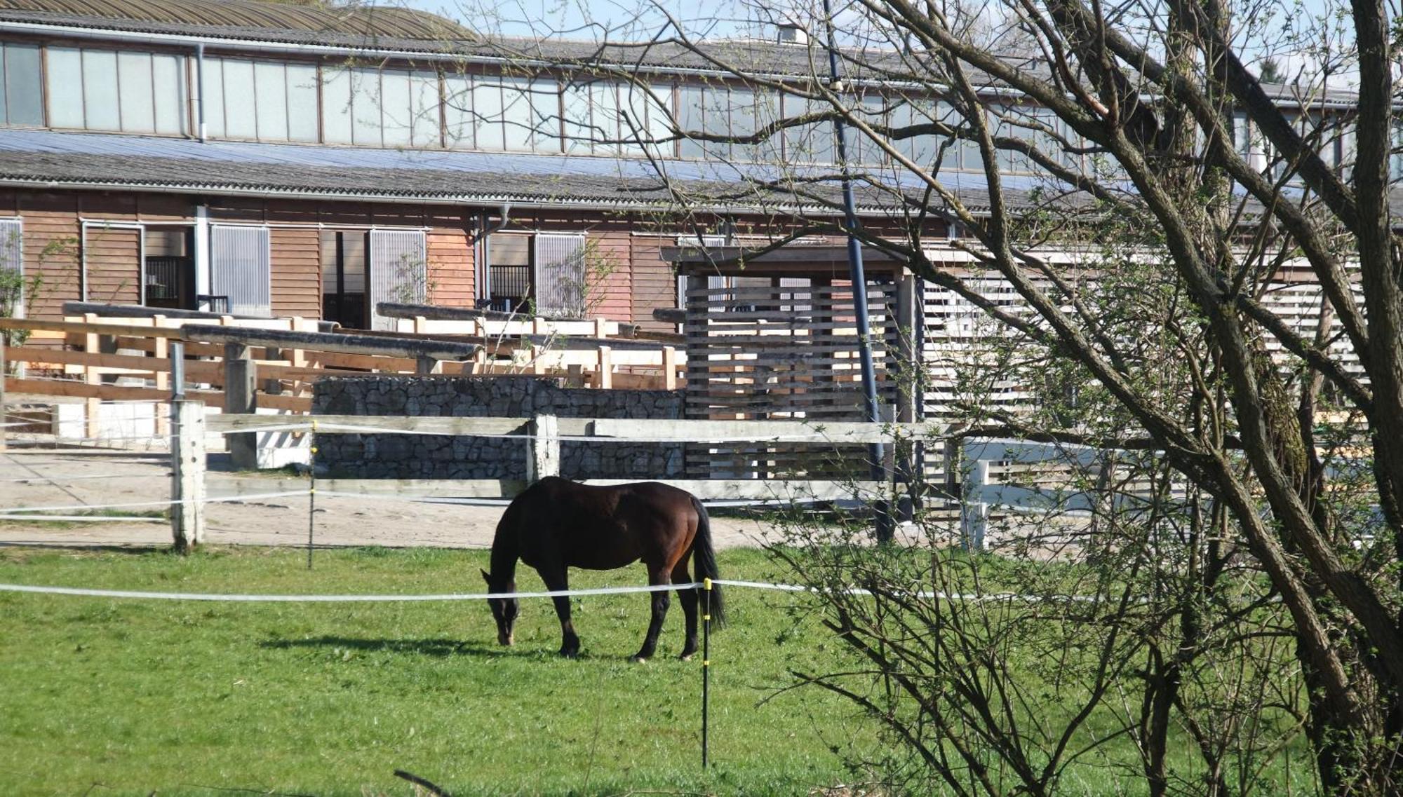 Großharthau Tinyhousebeidresden 3 Fuer 2 - 7 Personen, Naehe Saechsische Schweiz, Dresden, Mit Badeteichヴィラ エクステリア 写真