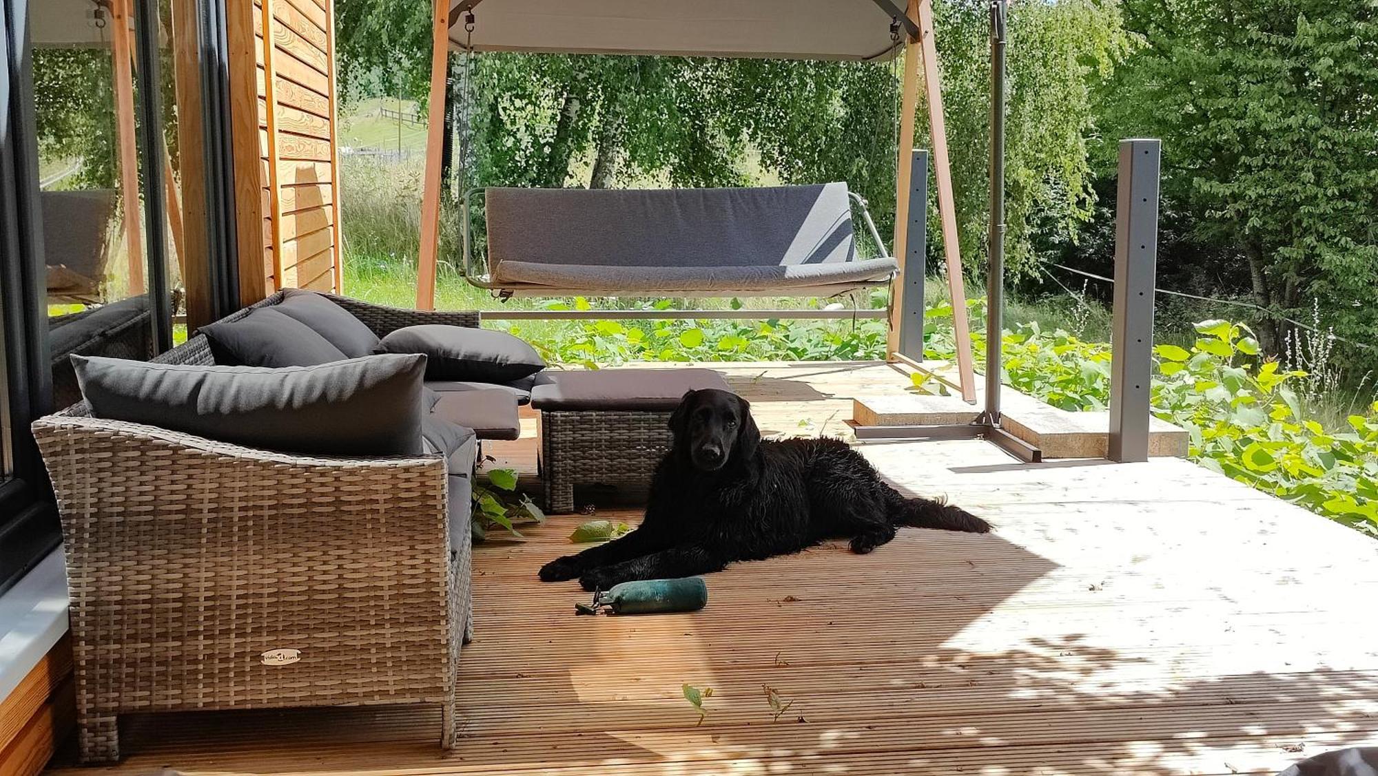 Großharthau Tinyhousebeidresden 3 Fuer 2 - 7 Personen, Naehe Saechsische Schweiz, Dresden, Mit Badeteichヴィラ エクステリア 写真